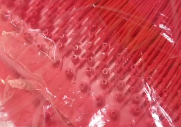 SELLOS DE PLASTICO DE  SEGURIDAD SOLIADOS
