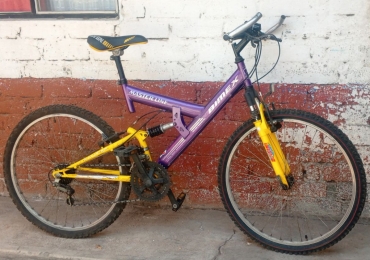 Bicicleta de Montaña