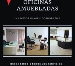 Te ayudamos a impulsar tu negocio