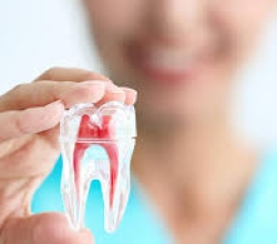 Endodonsista