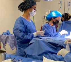 Servicio profesional de enfermería a domicilio