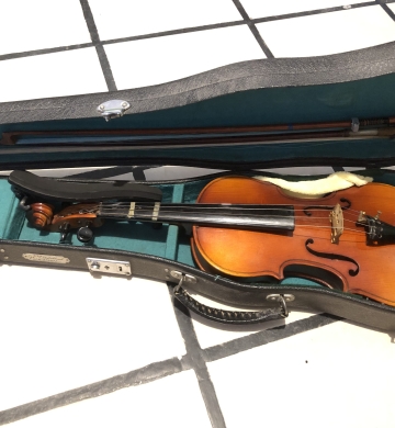 Violin Skylark