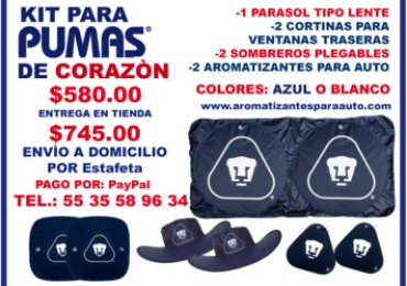 KIT DE PARASOL, CORTINAS Y AROMATIZANTES PARA AUTOY SOMBREROS PARA EL ESTADIO