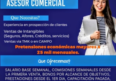 ASESOR DE VENTAS