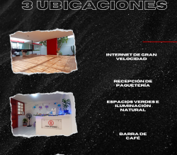 Donde los profesionales se encuentran con el éxito