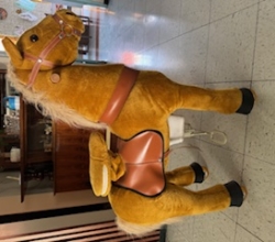 Caballo para monar