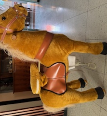Caballo para monar