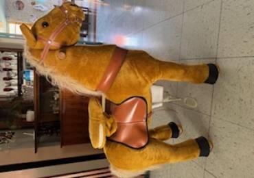 Caballo para monar