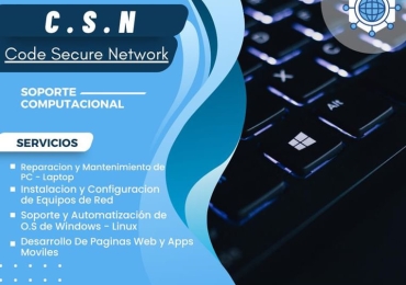 Servicios informaticos profesionales