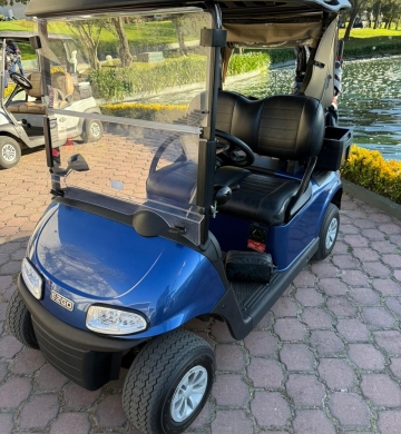 Carrito de Golf