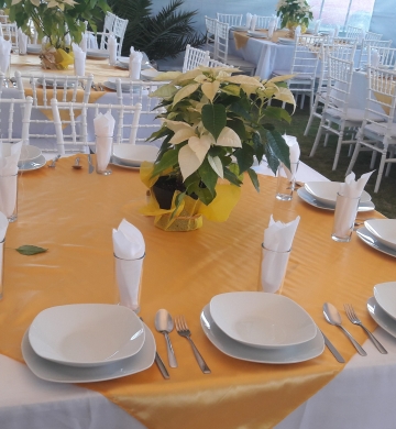 renta de sillas tiffany con mesa cuadrada