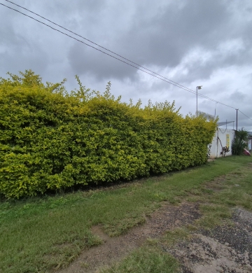 CASA DE DESCANSO EN ATLIXCO