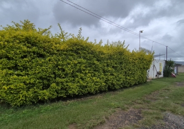CASA DE DESCANSO EN ATLIXCO