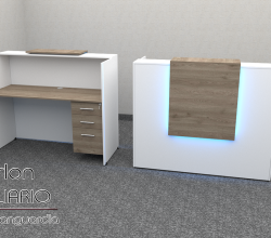 Recepcion mod. Neo 15