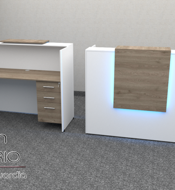 Recepcion mod. Neo 15