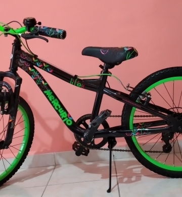 BICICLETA VELOCI MERCURIO –5 Cambios y 20 de Rodada.  Semi-nueva.  Precio $1,500.