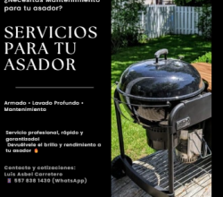 Servicio profesional de lavado, armado y mantenimiento de asadores