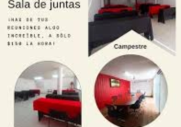 ¿Algún conocimiento que te gustaría impartir a los demás?