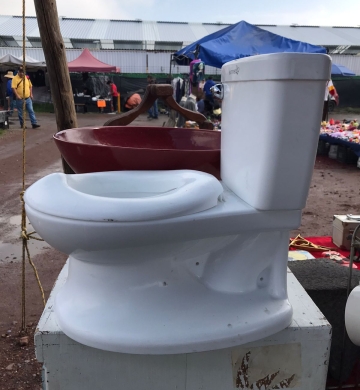 Bañito entrenador Summer