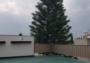 RENTA DE OFICINAS COYOACAN A 20 MTS DE AV. TAXQUEÑA