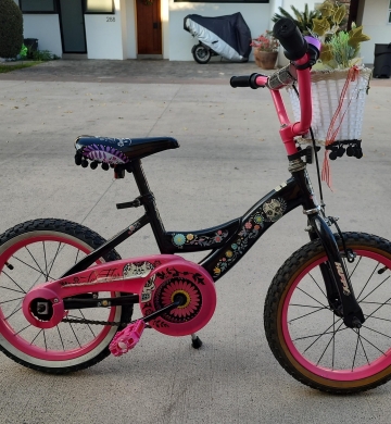 Bicicleta Infantil