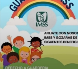Afiliaciones al IMSS