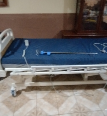 Cama eléctrica