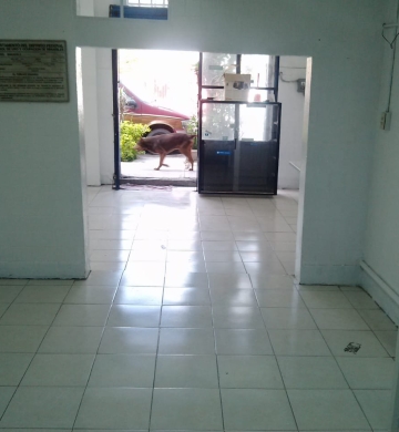 Renta de Local Comercial Col. Moderna cerca del Metro Xola