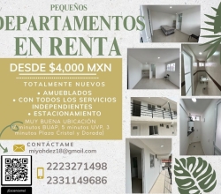 PEQUEÑOS DEPARTAMENTOS EN RENTA TOTALMENTE NUEVOS