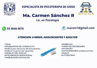 Terapia Psicologica en Linea