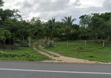 Terreno a 10 minutos de Tulum en zona turística, Cerca de 2 lagunas, cenotes y mar.