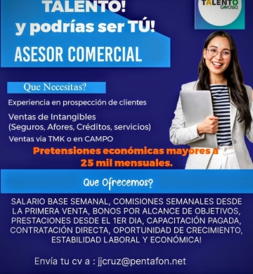 ASESOR DE VENTAS