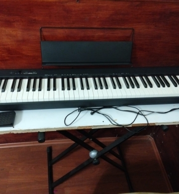 TECLADO CASIO CDP S110