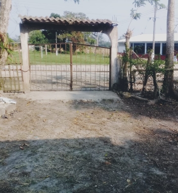 Finca con árboles frutales en Venta