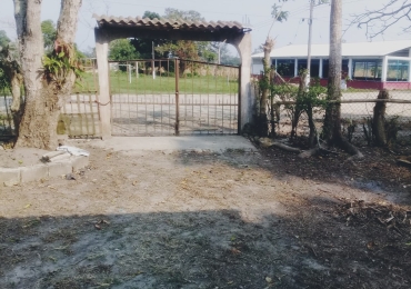 Finca con árboles frutales en Venta