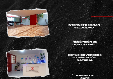 Donde los profesionales se encuentran con el éxito