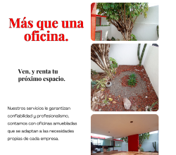 Aquí encuentras el entorno perfecto.