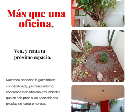 Aquí encuentras el entorno perfecto.