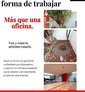 Aquí encuentras el entorno perfecto.