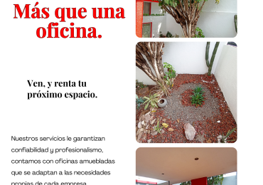 Aquí encuentras el entorno perfecto.