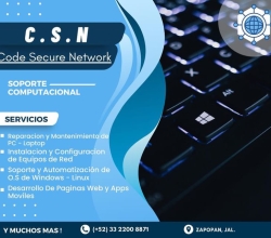 Servicios informaticos profesionales