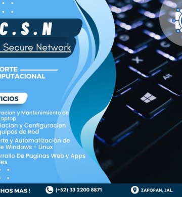 Servicios informaticos profesionales